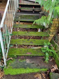 Mossy outdoor timber staircase before pressure washing