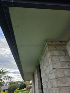 Path and driveway before and after pressure washing