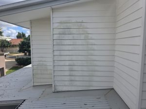 House exterior weatherboard wall before soft washing