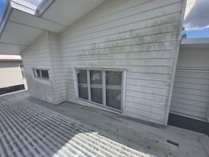 House exterior wall and window after soft washing