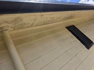 House wall and window before and after soft washing
