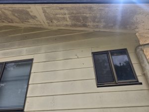 House eave before soft washing
